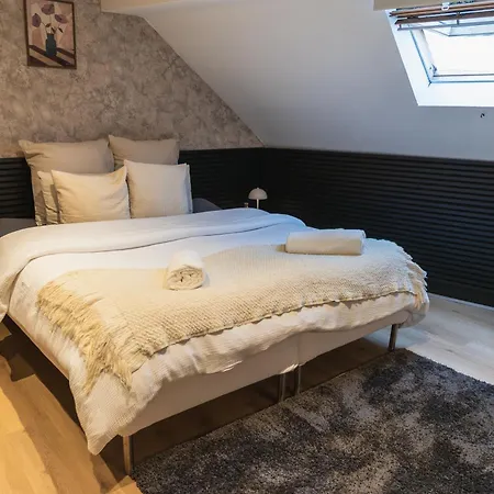 公寓 Lovely Private In 5br Shared In The Heart Of For Groups *