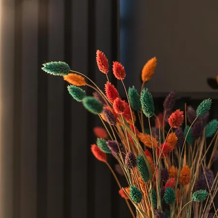 Lovely Private In 5br Shared In The Heart Of For Groups *