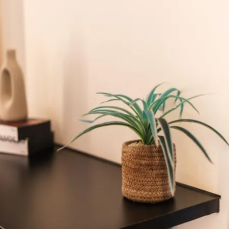 Lovely Private In 5br Shared In The Heart Of For Groups 公寓 根特