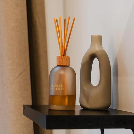 Lovely Private In 5br Shared In The Heart Of For Groups 公寓 根特